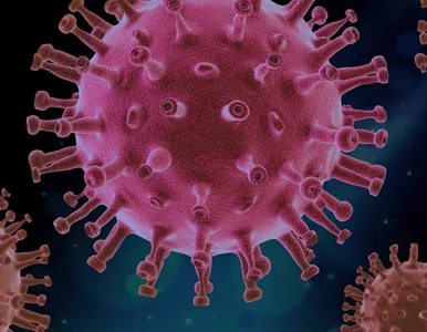 Miniatura: Nie tylko wariant K grypy. Naukowcy...