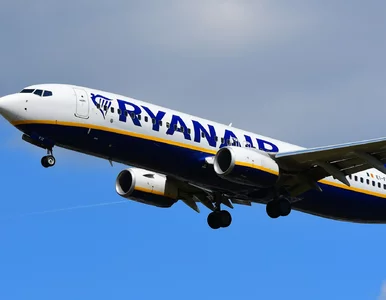 Miniatura: Dramat na pokładzie samolotu Ryanair....