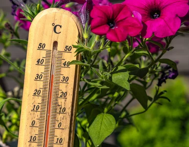 Miniatura: Pogoda zniszczy plany urlopowiczów? Nowy...