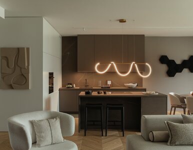 Miniatura: Apartament w stylu soft architecture