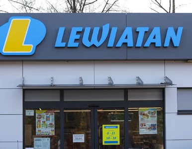 Miniatura: Polski gigant wyprzedził Dino. Te dane...