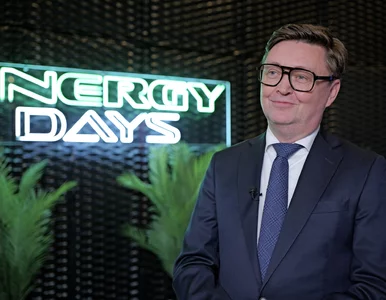 Miniatura: Jacek Czerniak, ING: Polska jest nadal...