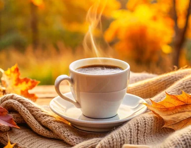 Miniatura: Te kawy zwykle kosztują małą fortunę....