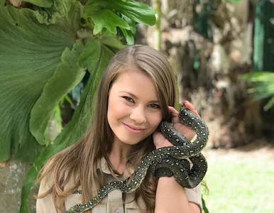 Miniatura: Bindi Irwin idzie w ślady zmarłego ojca....