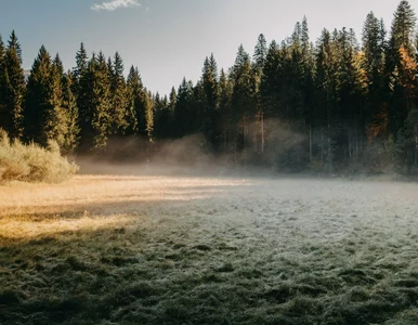 Miniatura: IMGW wydało ostrzeżenia. Dotyczą sześciu...