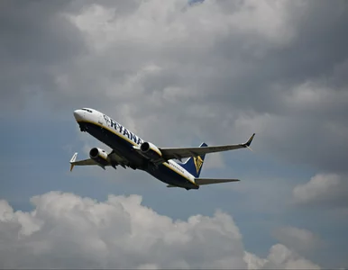 Miniatura: Koszmarny koniec lotu Ryanair. Jeden z...
