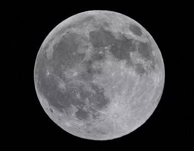 Miniatura: 5 listopada o tej godzinie Księżyc będzie...