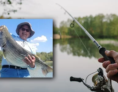 Miniatura: Emeryt złowił gigantyczną rybę. Rekord...