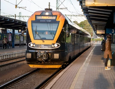 Miniatura: Drugi bilet na pociąg za darmo. Tańsze...