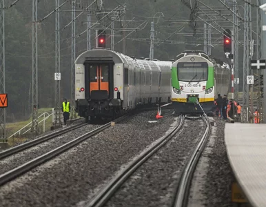 Miniatura: Ta informacja mrozi krew w żyłach. Po...