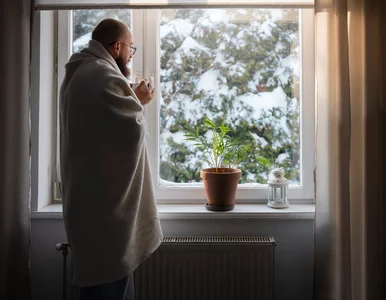 Miniatura: Połóż to na noc na parapecie, a...