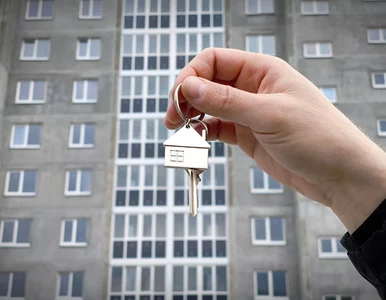 Miniatura: Ceny mieszkań na rynku wtórnym. To miasto...