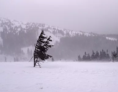 Miniatura: Kiedy skończą się największe mrozy?...
