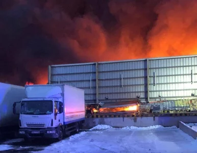 Miniatura: Potężny pożar trawił halę. Ogień gasiło 50...