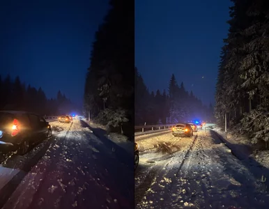 Miniatura: Atak zimy na Dolnym Śląsku. Pasażerowie...