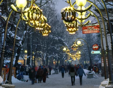 Miniatura: Tak Polacy zaplanowali wyjazdy na zimę....