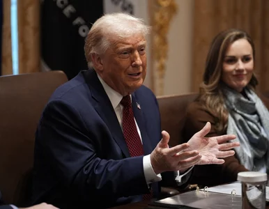 Miniatura: Trump ciepło o Polsce. Za to pochwalił...