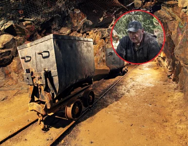 Miniatura: Sensacja na Dolnym Śląsku. To może...