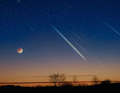 Miniatura: Nawet 15 meteorów na godzinę. Tej nocy...