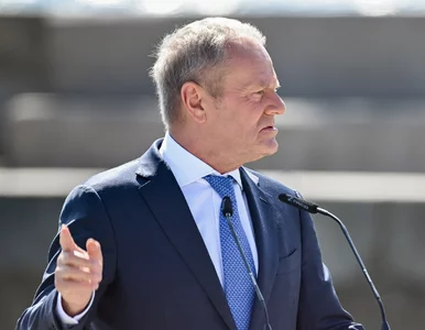 Miniatura: „Prawa ręka” Tuska w TK? Taki ma być cel....