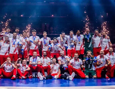 Miniatura: Zwolnienie Nikoli Grbicia to oczywistość....