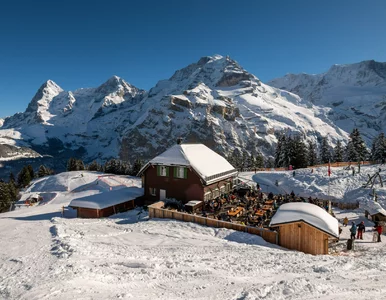 Miniatura: Tu znajduje się najbardziej stroma kolejka...