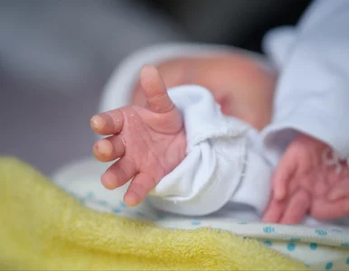 Miniatura: Niezwykły cud narodzin. Kobieta urodziła...