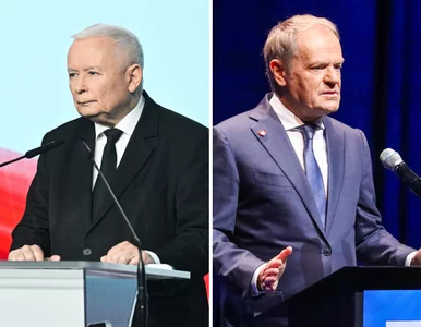 Miniatura: Ta partia nawiąże sojusz z Konfederacją....