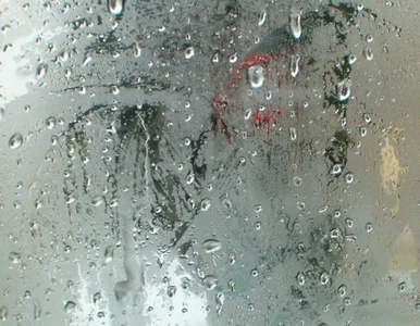 Miniatura: Parujące okna? Postaw to na parapecie....