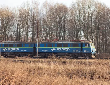 Miniatura: Zwrot w sprawie PKP Cargo. Plan...