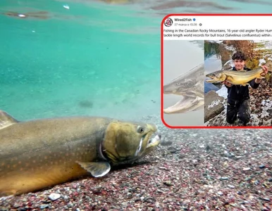 Miniatura: Ma 16 lat i dwa wędkarskie rekordy świata....