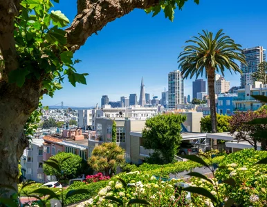 Miniatura: LOT z nowym hitem dla Polaków....