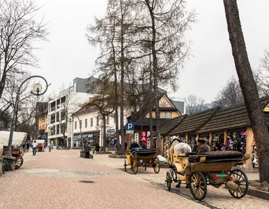 Miniatura: Niecodzienna scena w Zakopanem. Nagranie...