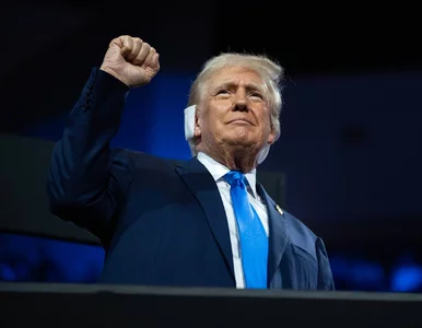 Miniatura: Trump zaskoczył wyborem ambasadora....