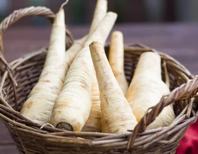 Miniatura: Wygląda jak pietruszka, smakuje niczym...