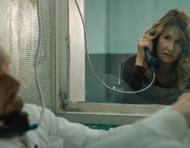 Miniatura: HBO Max dla koneserów: 20 mało znanych...