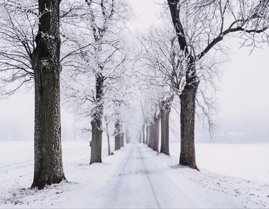 Miniatura: Ostrzeżenia IMGW przed intensywnymi...