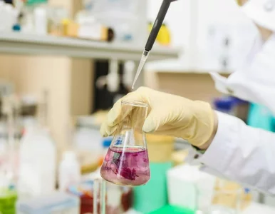 Miniatura: Szansa na przełom w kardiologii. Polskie...