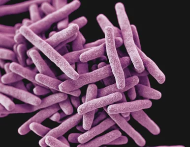 Miniatura: Szpital przestaje przyjmować pacjentów z...