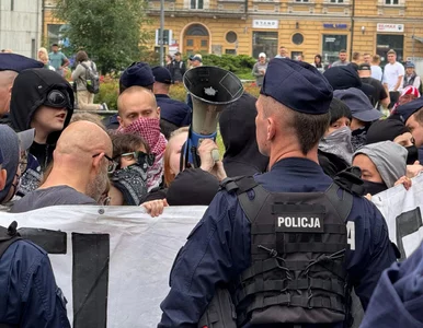 Miniatura: Gorąco na manifestacji „Stop Imigracji!”....