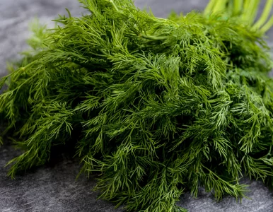 Miniatura: To zioło zwykle ląduje tylko w zupie. Ma...