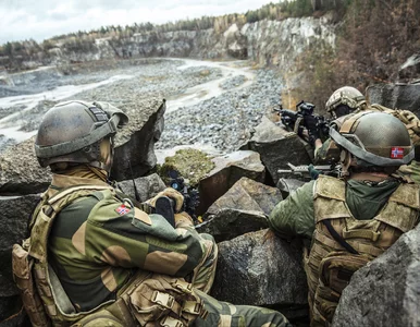 Miniatura: Norwescy żołnierze zaginęli. Brali udział...