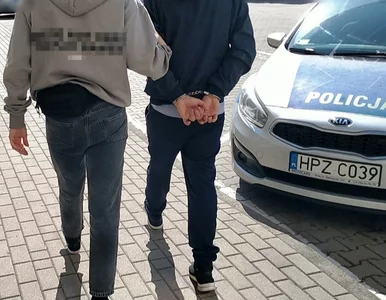 Miniatura: Zatrzymano pijanych rodziców półrocznego...
