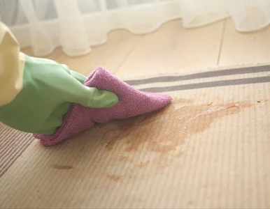 Miniatura: Masz to w łazience, a nie wiesz, że usuwa...