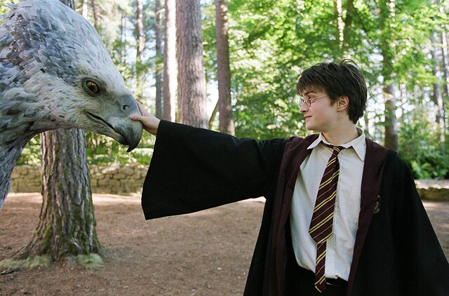 Zacznijmy od czegoś prostego. Do którego domu w Hogwarcie należał Harry Potter?