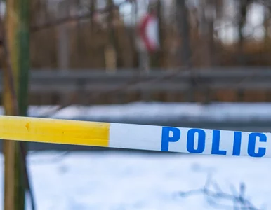 Miniatura: 17-latek po zbrodni opublikował...