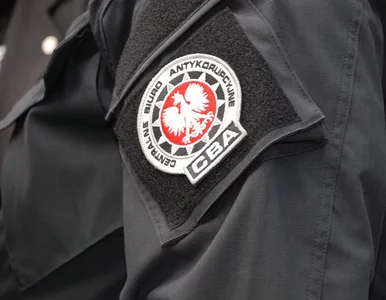 Miniatura: Były wiceminister finansów z zarzutami....