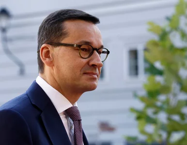 Miniatura: Morawiecki zorganizuje grilla dla tysiąca...
