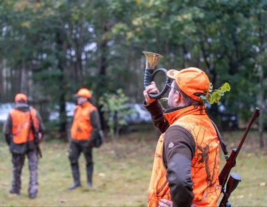 Miniatura: Badania dla myśliwych znów przepadną?...