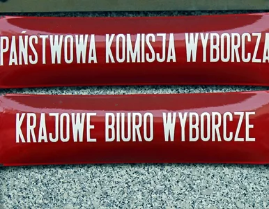 Miniatura: PiS i Konfederacja mają problem....